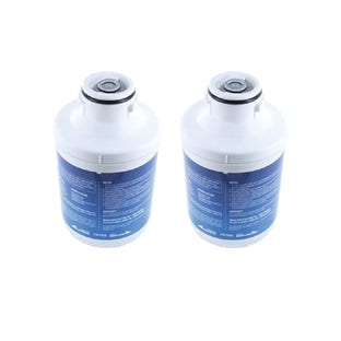 Hotpoint-Ariston Wasserfilter 482000091353 / C00300448