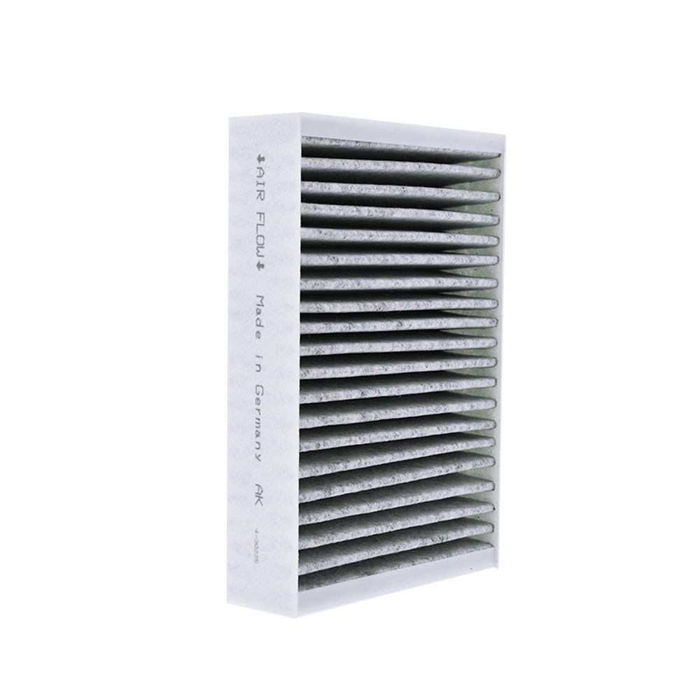 Aktivkohlefilter geeignet für Miele DKF 31-P (2St.)