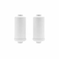 Fluorid- und Arsen-Wasserfilter (2St.) geeignet für Schwerkraftfiltersystem Berkey®