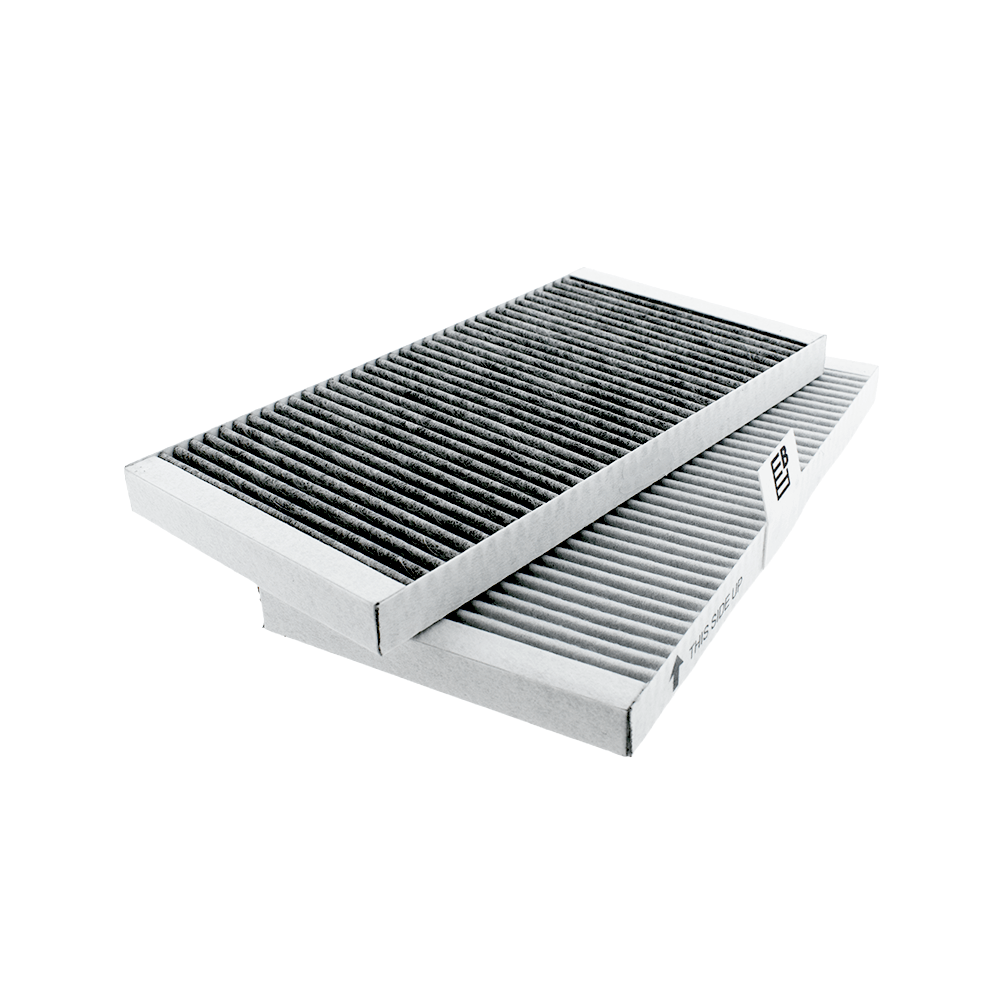 Pelgrim Feinstaubfilter HF3015 (2 St.)